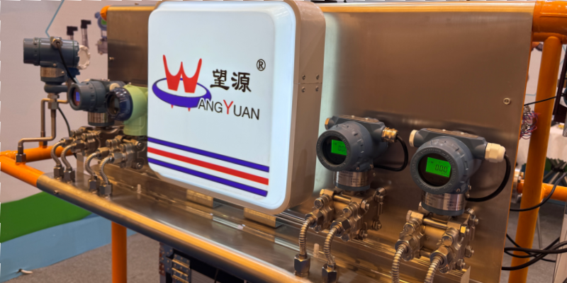 Shanghai Wangyuan Instruments Pressure Level Temperature Flow Water Treatment