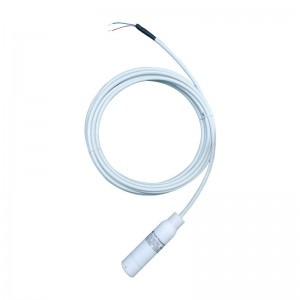 WP311A Hydrostatic Submersible Level Transmitter PTFE