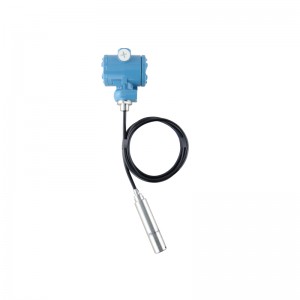 WP311B Submersible Liquid Level Transmitter