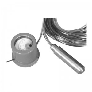 WP311C Submersible Liquid Hydrostatic Pressure Level Transmitter