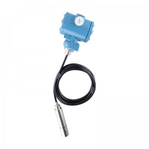 WP311C Submersible Liquid Hydrostatic Pressure Level Transmitter