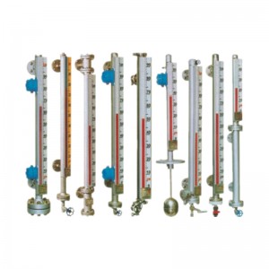 WP320 Magnetic Level Gauge