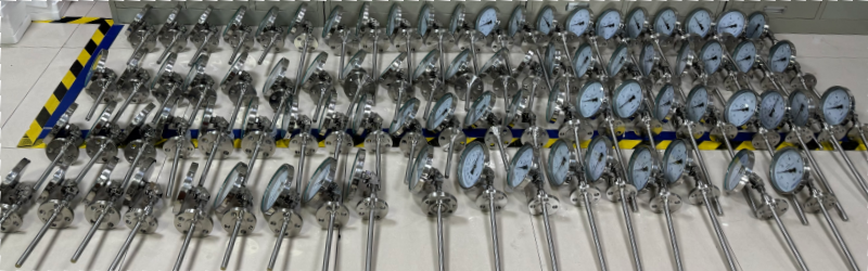 Wangyuan Bimetallic Thermometers equipped with Flange Connection Thermowells